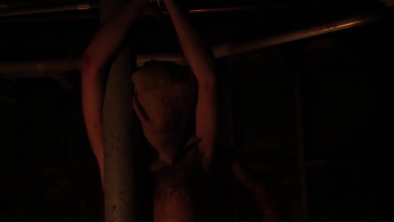 Flesh Meat Doll(S)